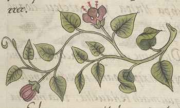 image for 8_Bibliography