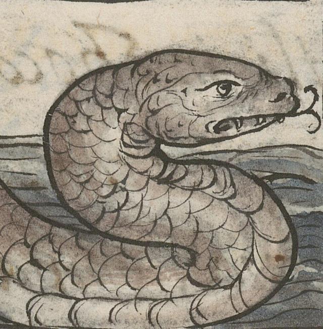 Illustration of Serpents