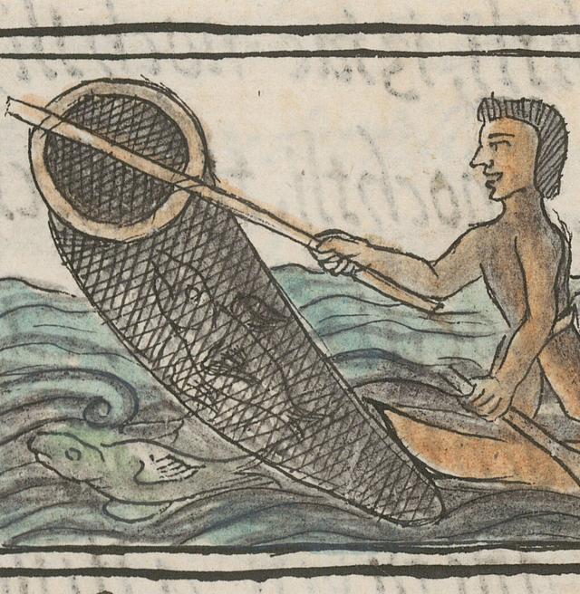 Illustration of Fisherman